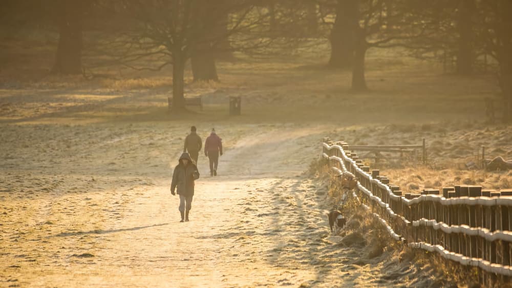 Winter Walks Pic 1 Winter Walks