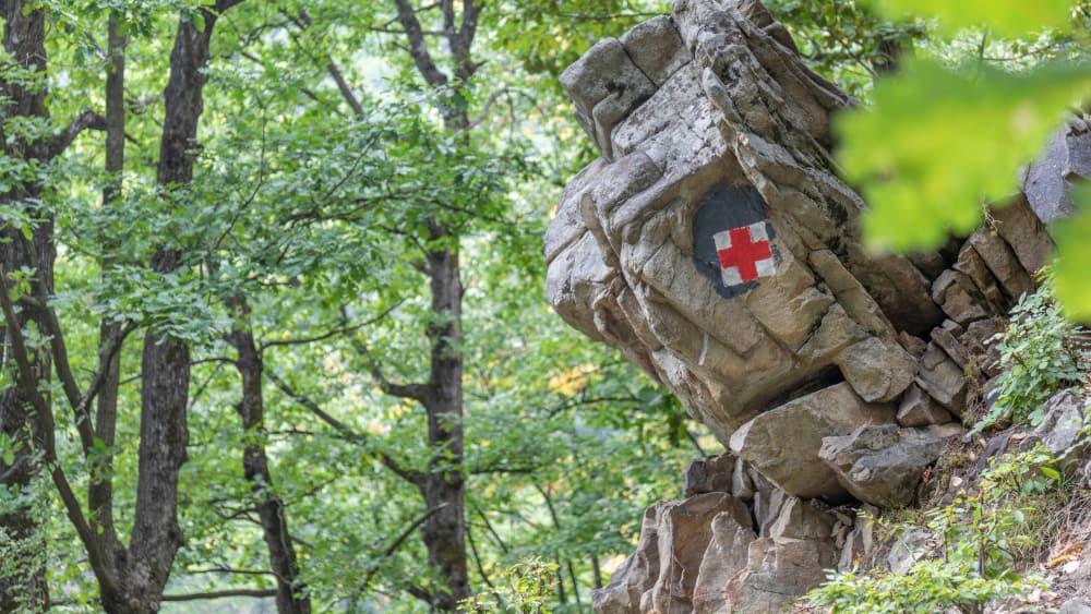 Disease Precautions Pic 2 Disease Precautions