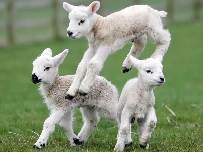 Easter Adventures Pic 10 Easter Adventures