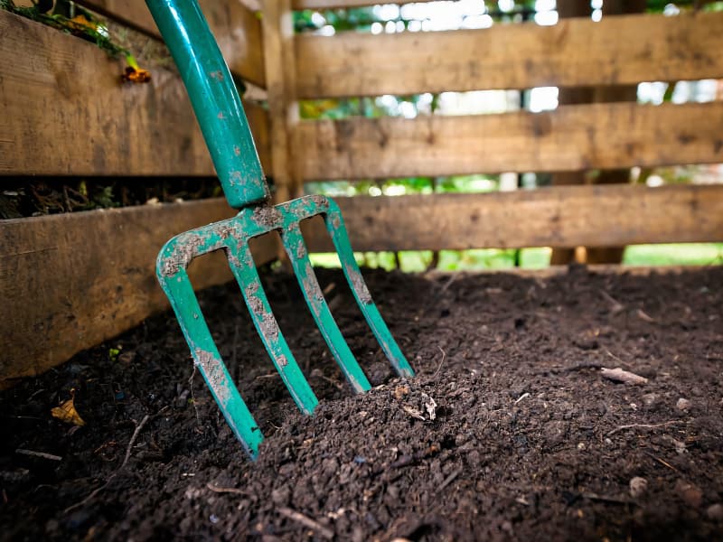 From Parks to Playground