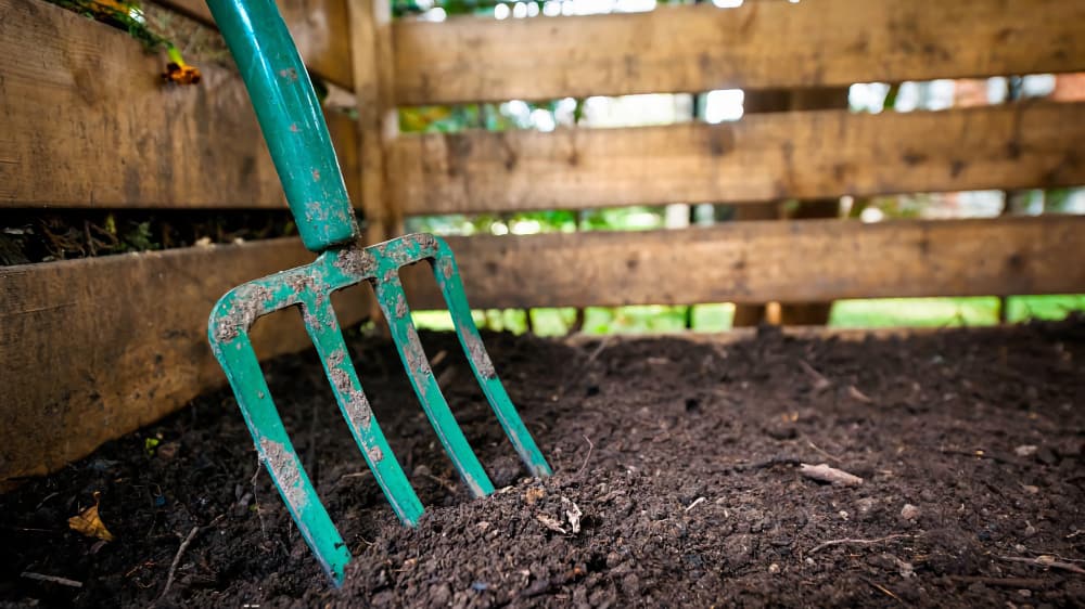 From Parks to Playground