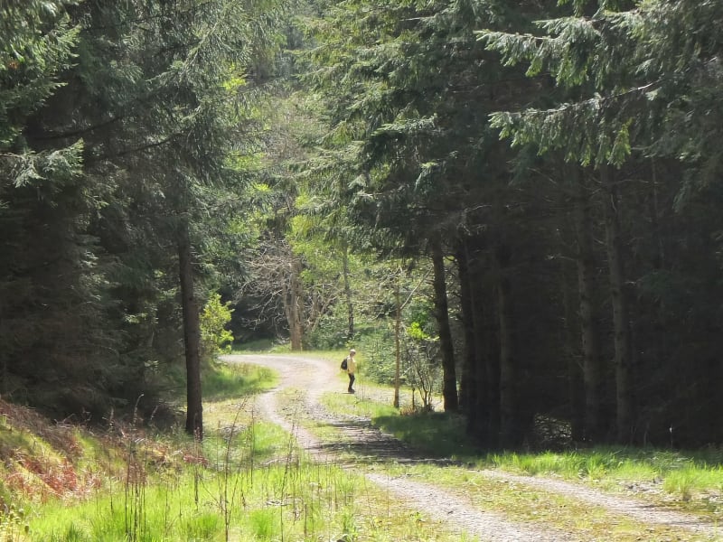 This is a deceptive walk that can feel much longer than it actually is! You'll be rewarded for your effort with wonderful views out across to Hundleshope Heights as you explore this quiet valley