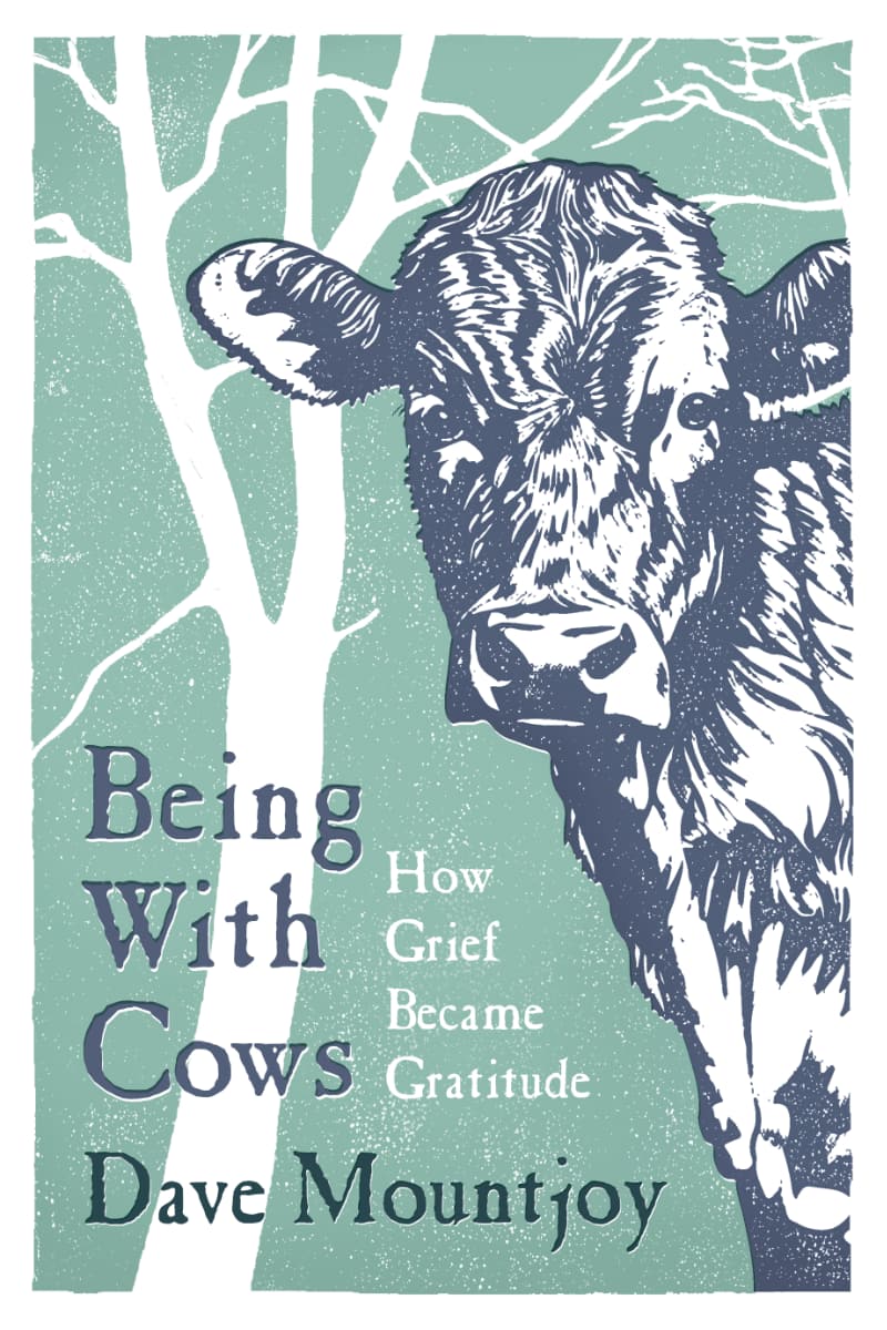 Being with Cows