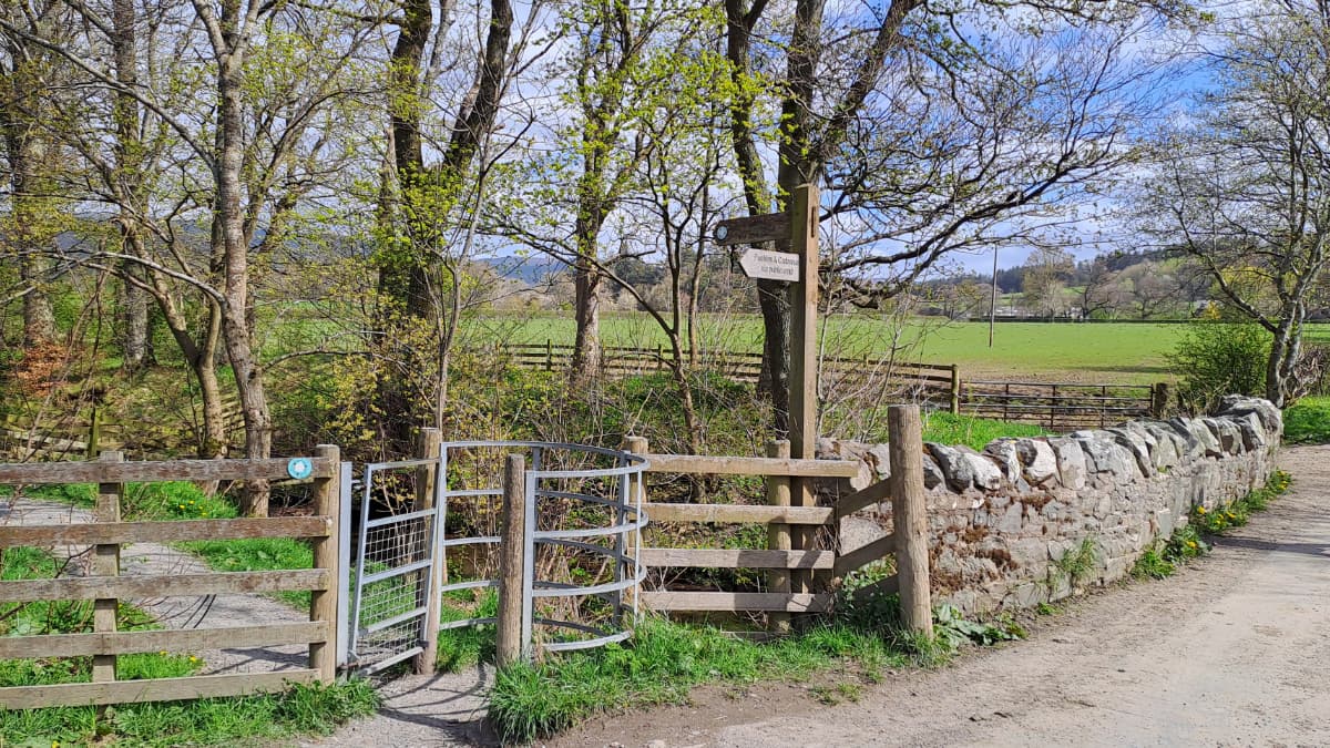 Haystoun Circular Slide 3 Haystoun Circular