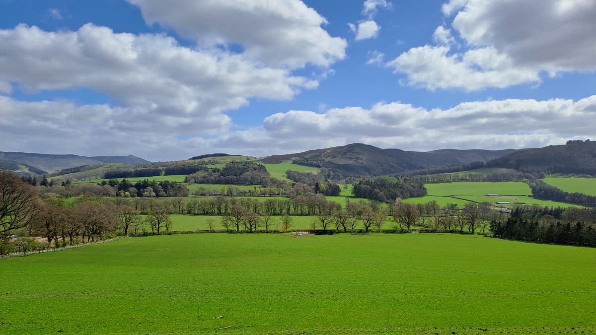 Haystoun Circular Slide 4 Haystoun Circular