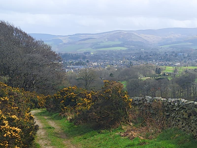 Peebles to Collie Law