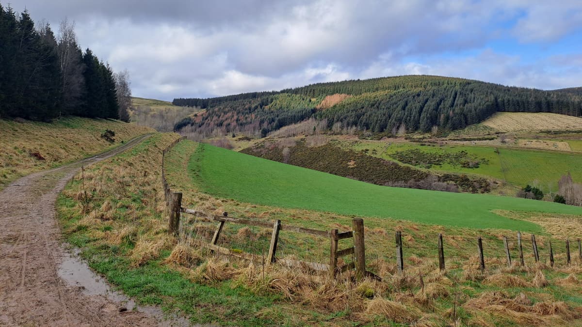 Soonhope Circular Slide 1 Soonhope Circular