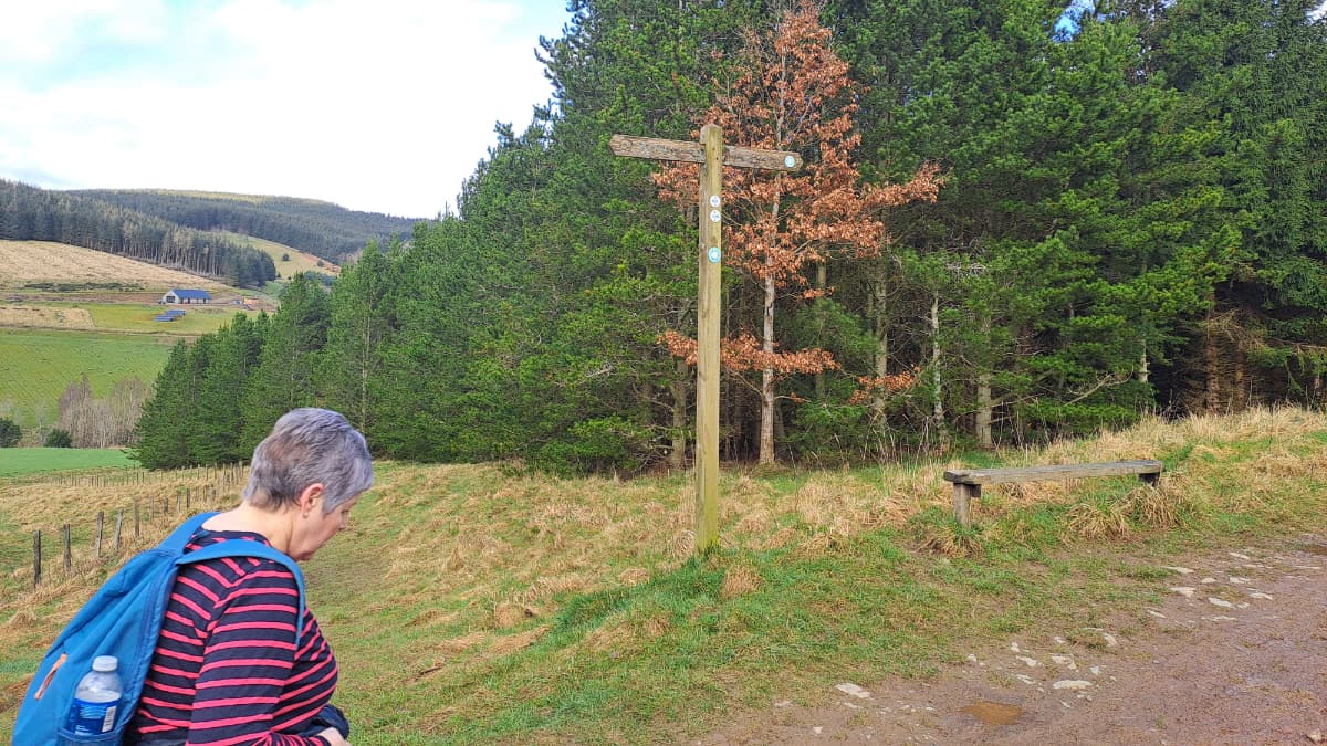 Soonhope Circular Slide 3 Soonhope Circular