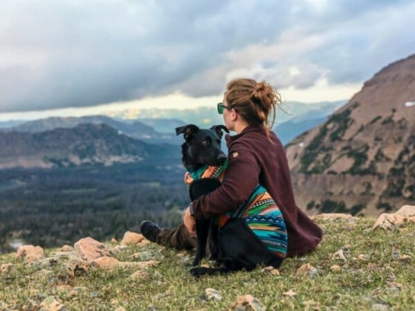 Dog Walking Dog walking