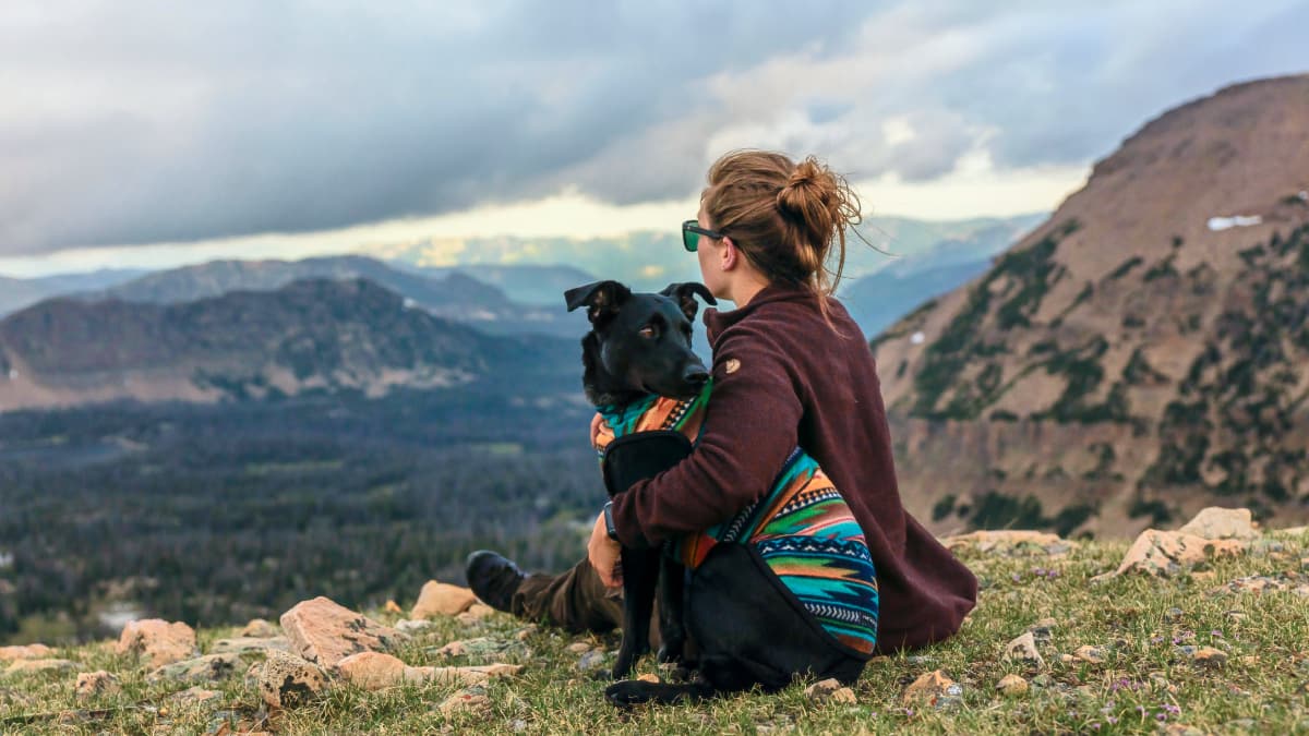 Your Dog Patrick Hendry-unsplash Your Dog