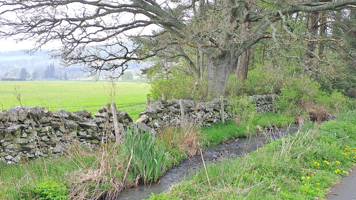 Peebles Glentress Slide 3 Peebles Glentress