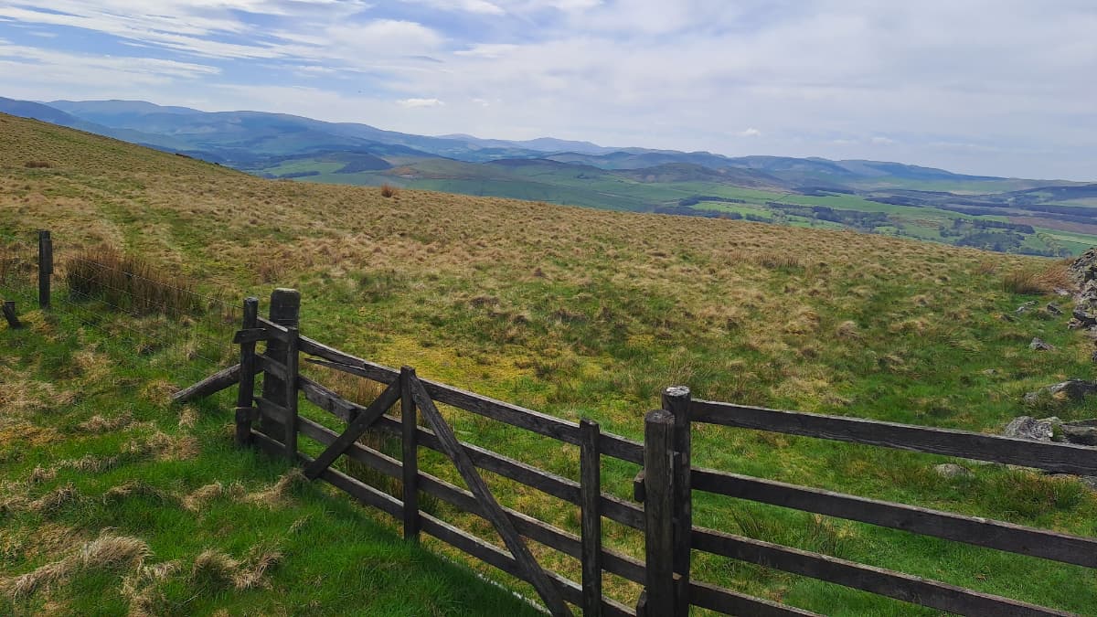 Peebles White Law Slide 4 Peebles White Law