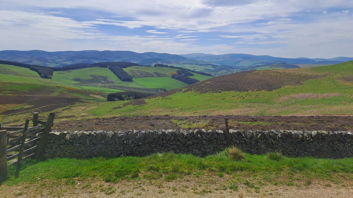 Peebles White Law Slide 6 Peebles White Law