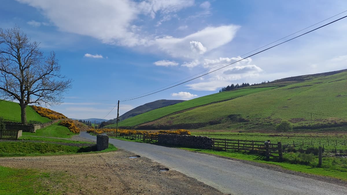 Peebles White Law Slide 7 Peebles White Law