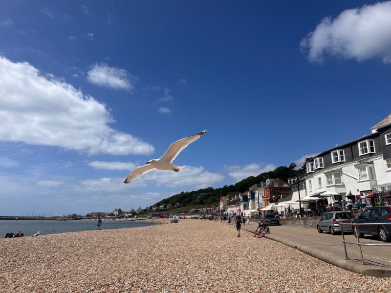 Lyme Regis Walk