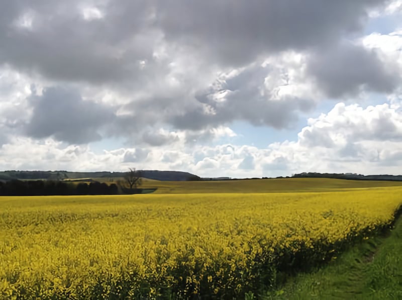 Walks in Lincolnshire