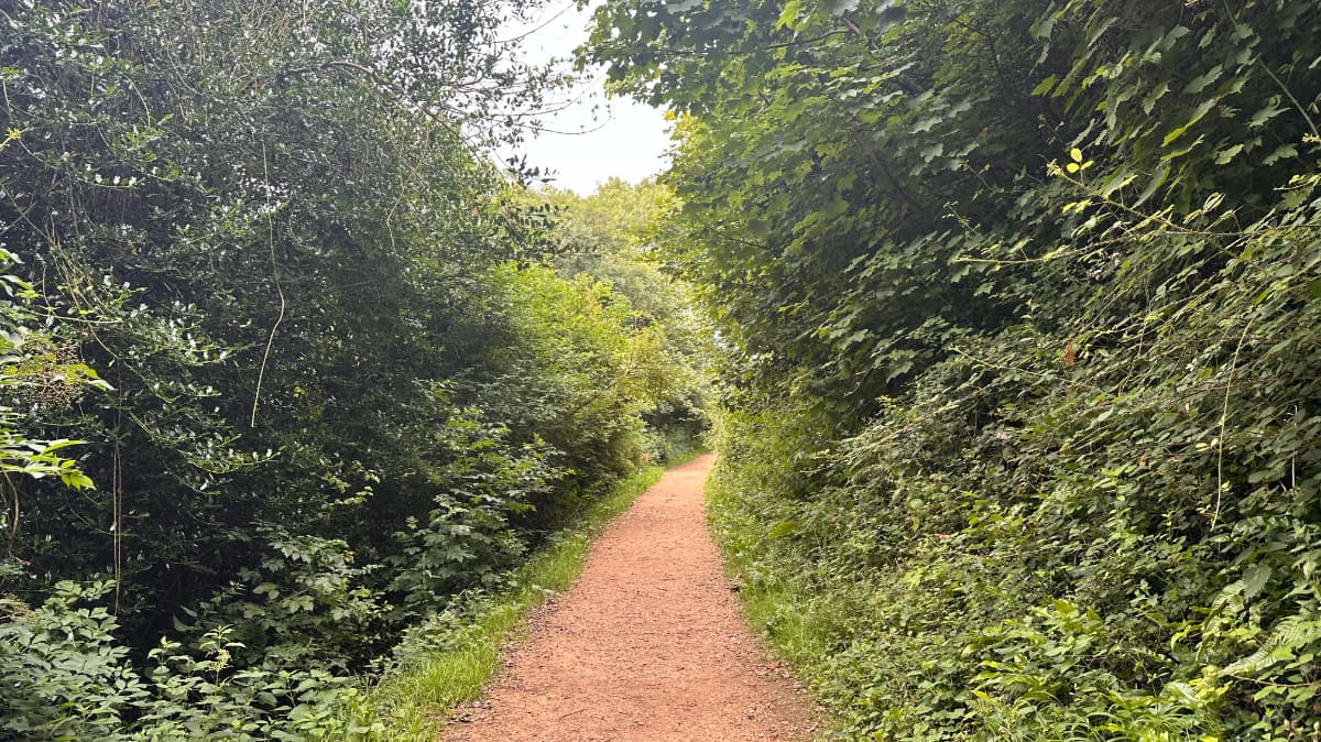 Ham Hill Country Park Explorer Slide 1 Ham Hill Country Park Explorer