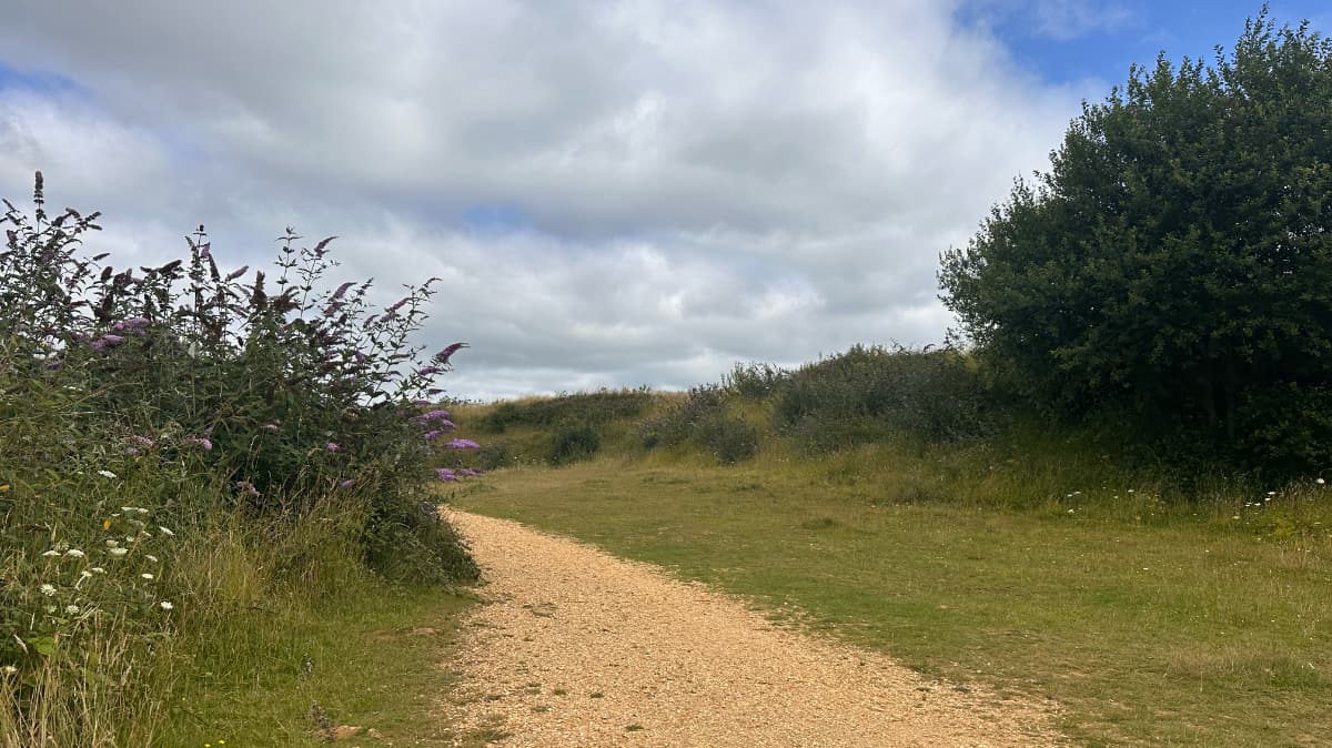 Ham Hill Country Park Explorer Slide 5 Ham Hill Country Park Explorer