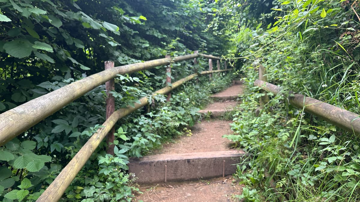 Ham Hill Country Park Explorer Slide 7 Ham Hill Country Park Explorer