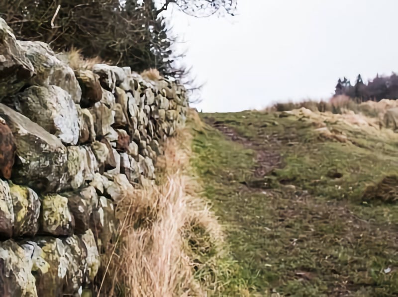 Sycamore Gap