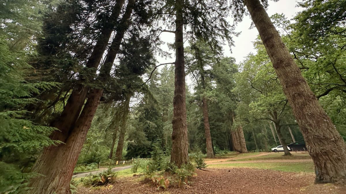 Blackwater Arboretum