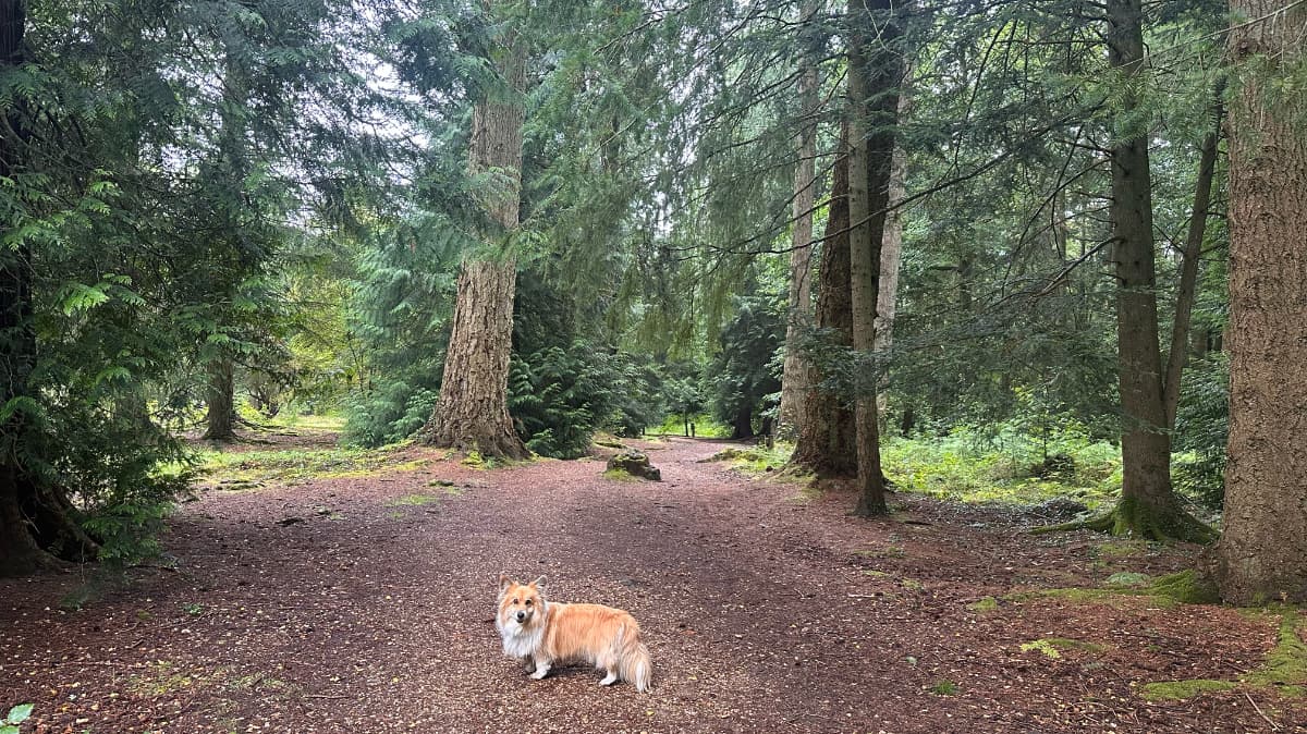 Blackwater Arboretum