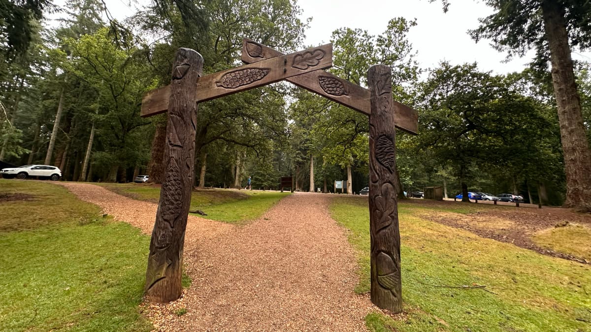 Rhinefield Ornamental Drive