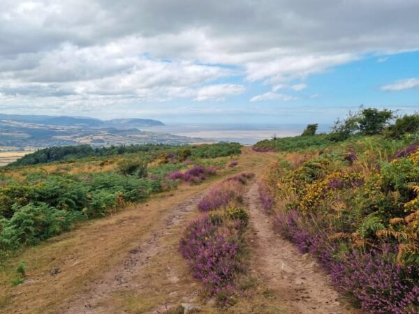 Exmoor Coast Festival