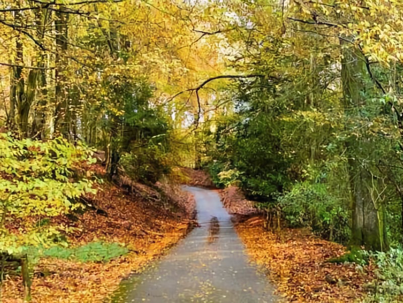 Autumnal adventures Pic 2 Autumnal adventures