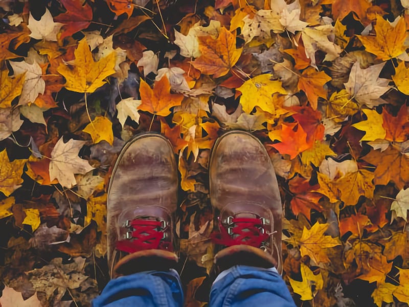 Autumnal adventures Pic 6 Autumnal adventures