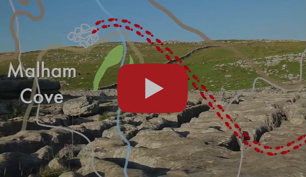 Dramatic Walks Pic 1 Dramatic Walks