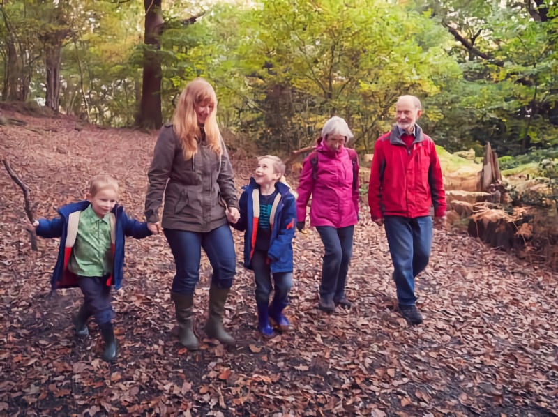 Going Places Pic 5 Forest Time