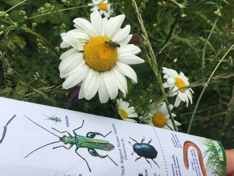 Here comes the sun Pic 5 Here comes the sun