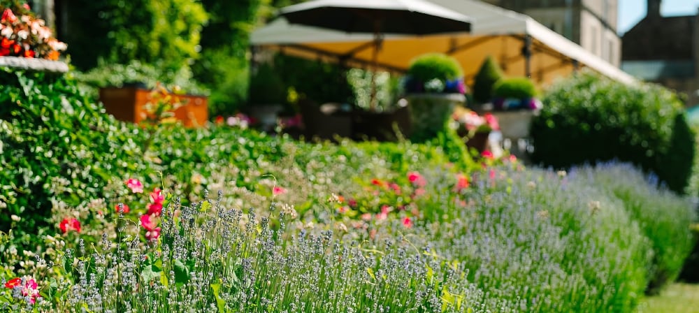 Summer in Sussex Pic 1 Summer in Sussex