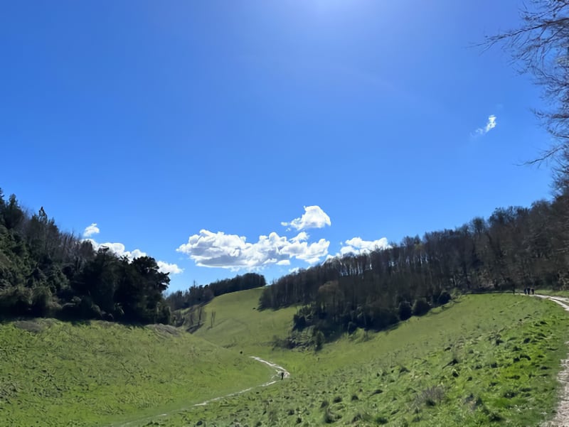 Summer in Sussex Pic 2 Summer in Sussex