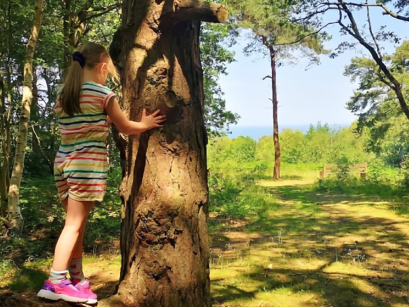 Summer in Sussex Pic 7 Summer in Sussex