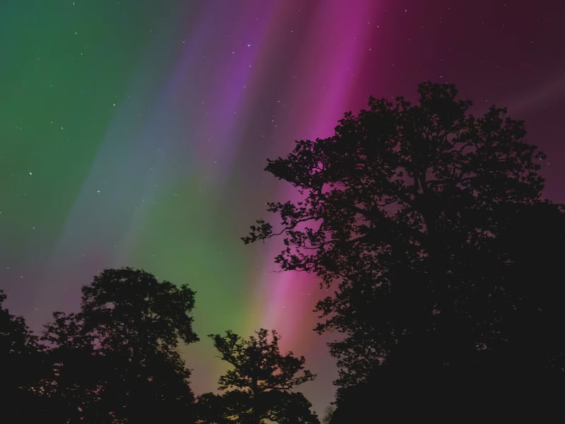 Image credit: Joshua Woroniecki on Unsplash