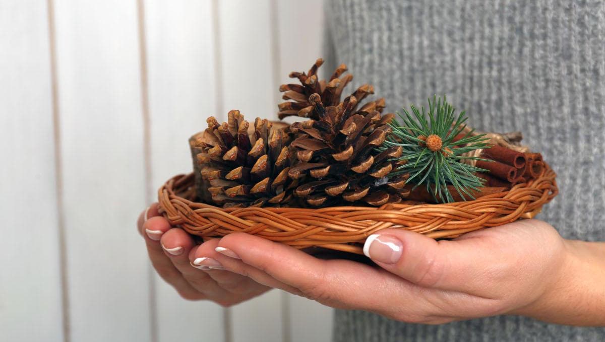 The Winter Solstice Pic 2 The Winter Solstice