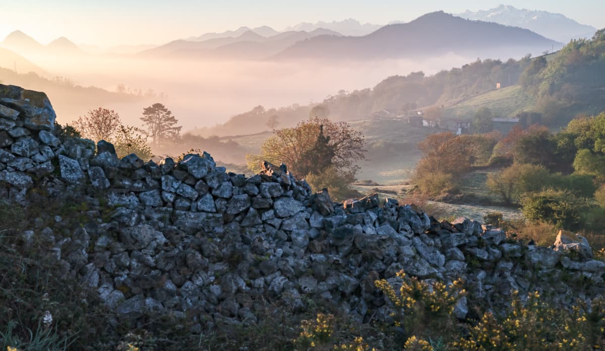 Wild Finca Pic 1 Wild Finca