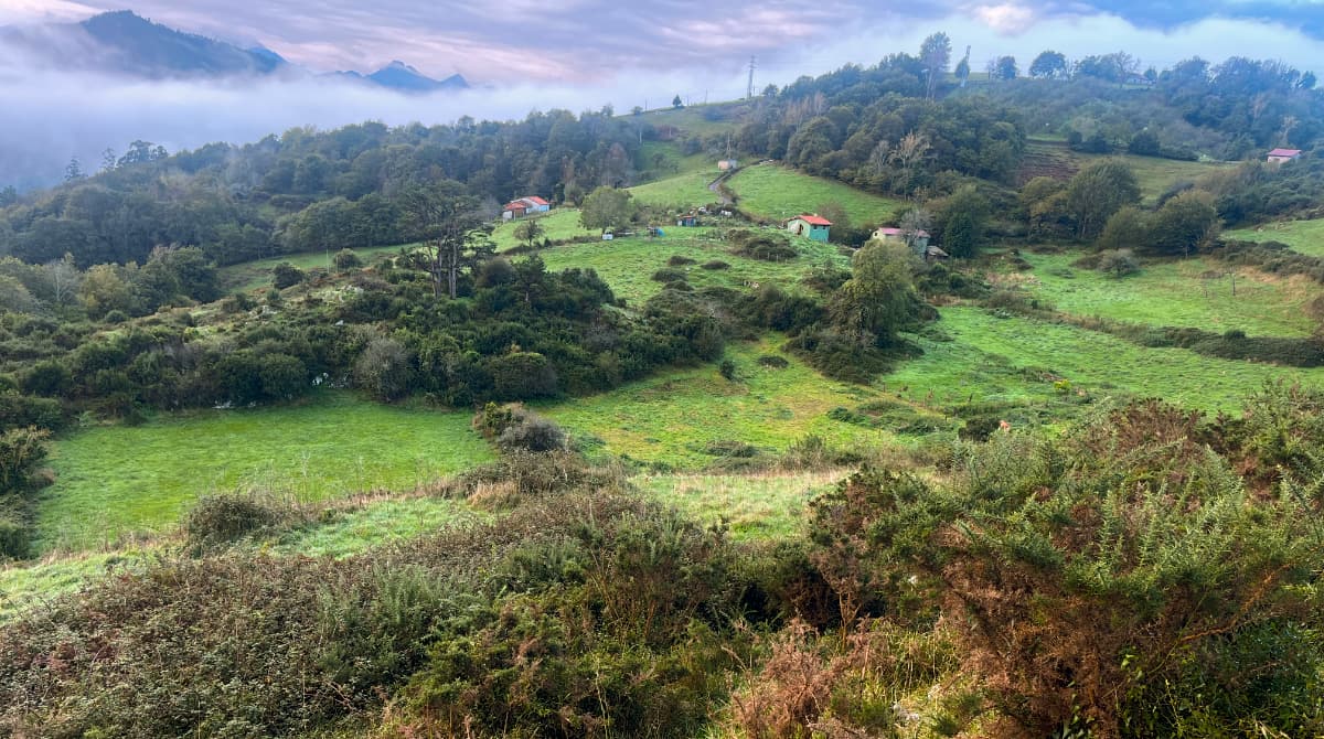 Wild Finca Pic 14 Wild Finca