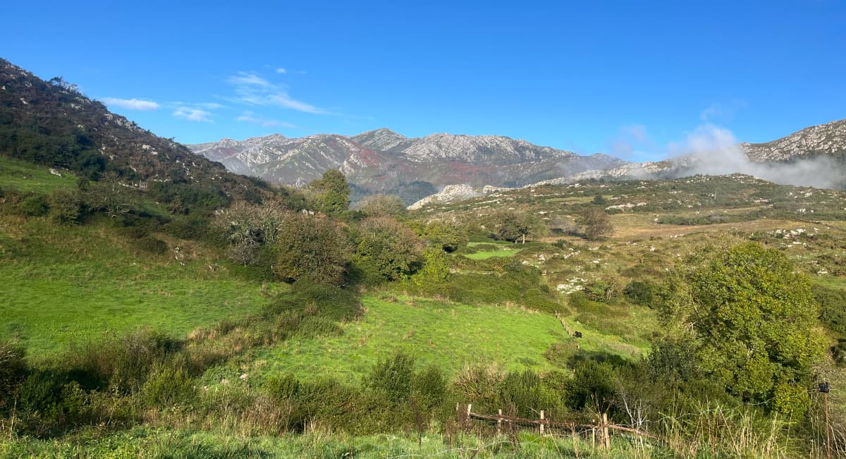 Wild Finca Pic 2 Wild Finca