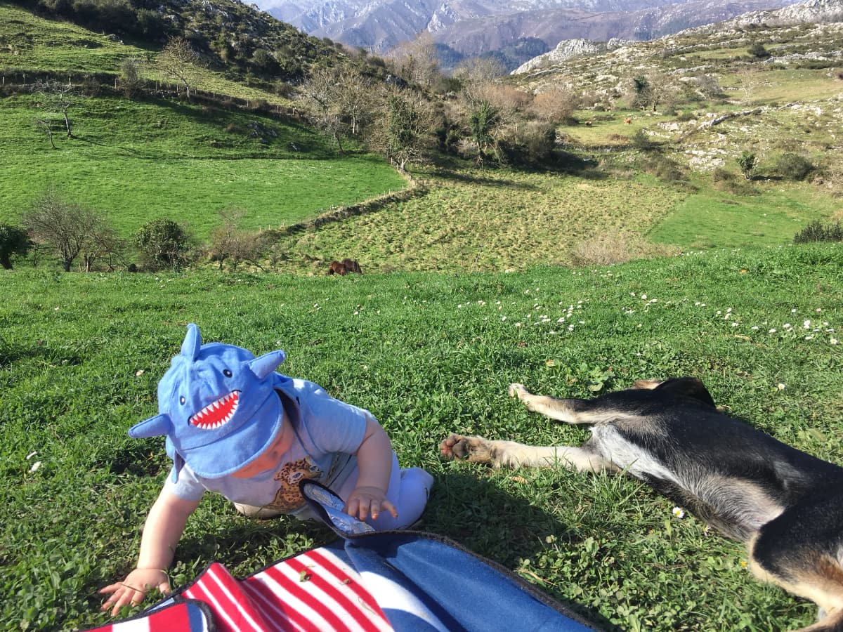 Wild Finca Pic 4 Wild Finca