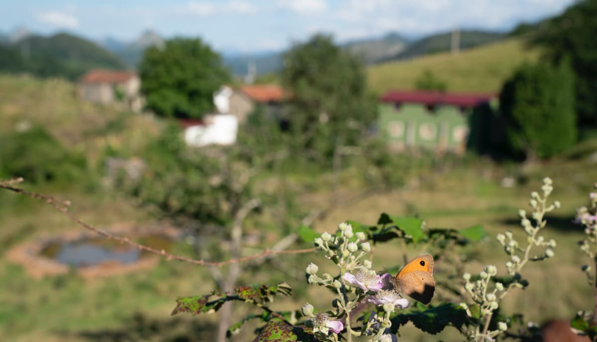 Wild Finca Pic 5 Wild Finca