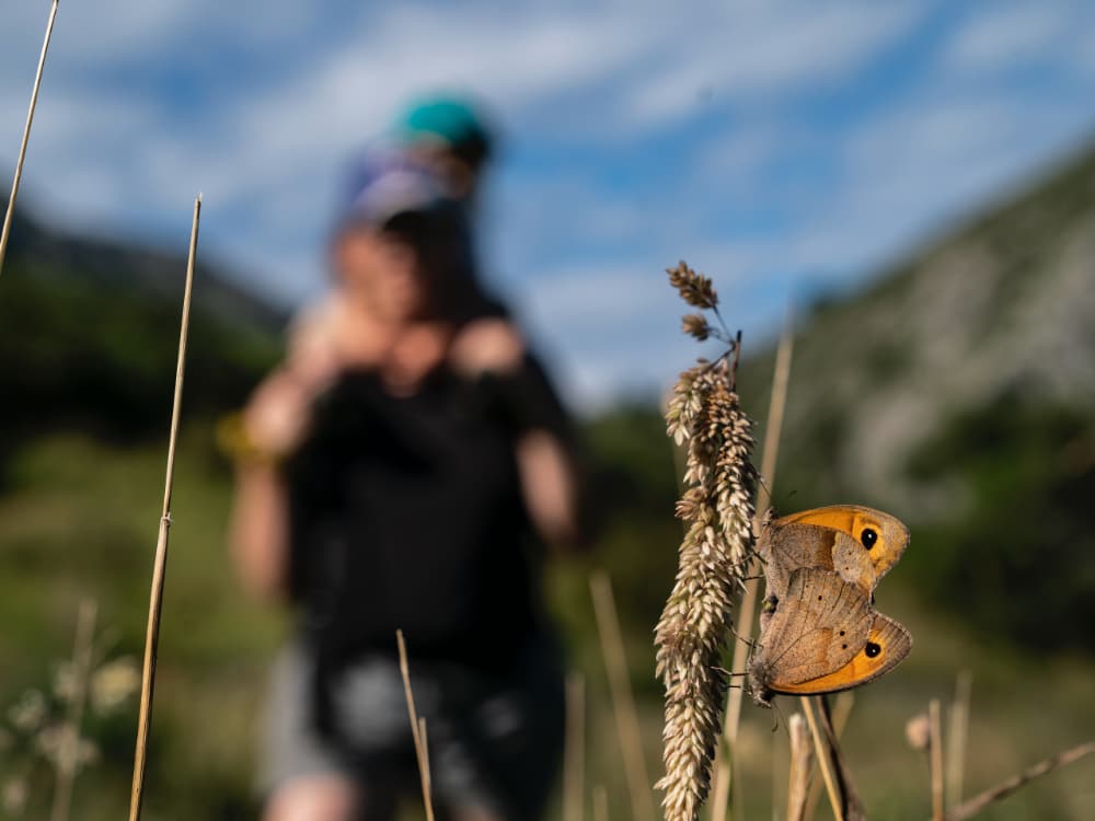 Wild Finca Pic 6 Wild Finca