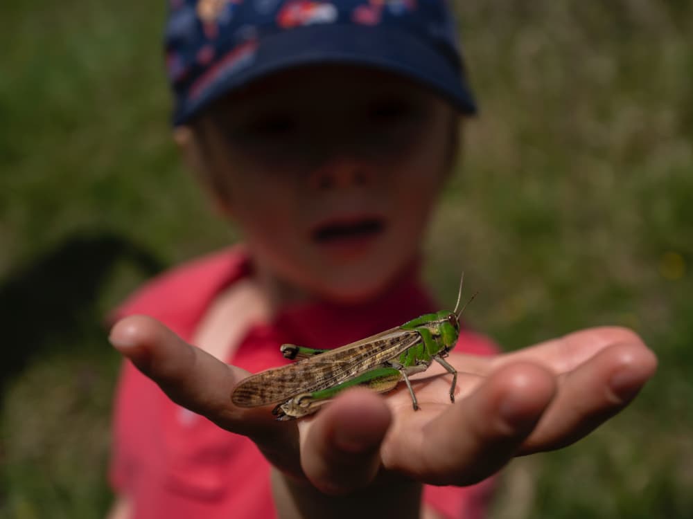 Wild Finca Pic 7 Wild Finca