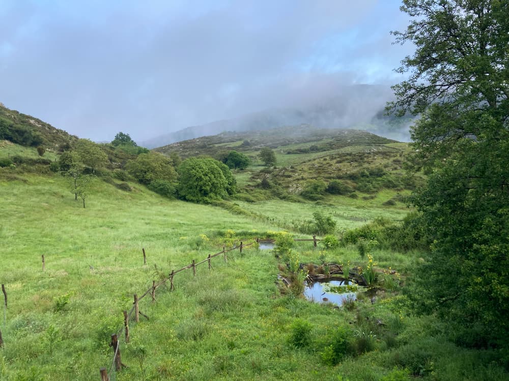 Wild Finca Pond After