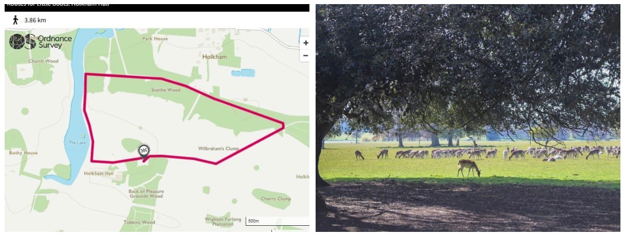 Cooking Up Happiness pic 2 Cooking Up Happiness