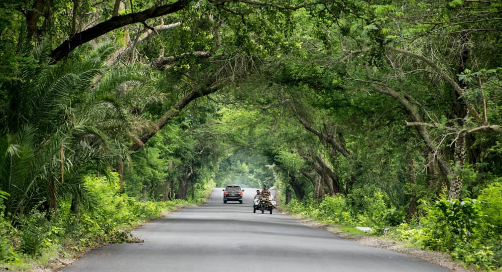 Struggling With Your Mental Health pic 1 Struggling With Your Mental Health