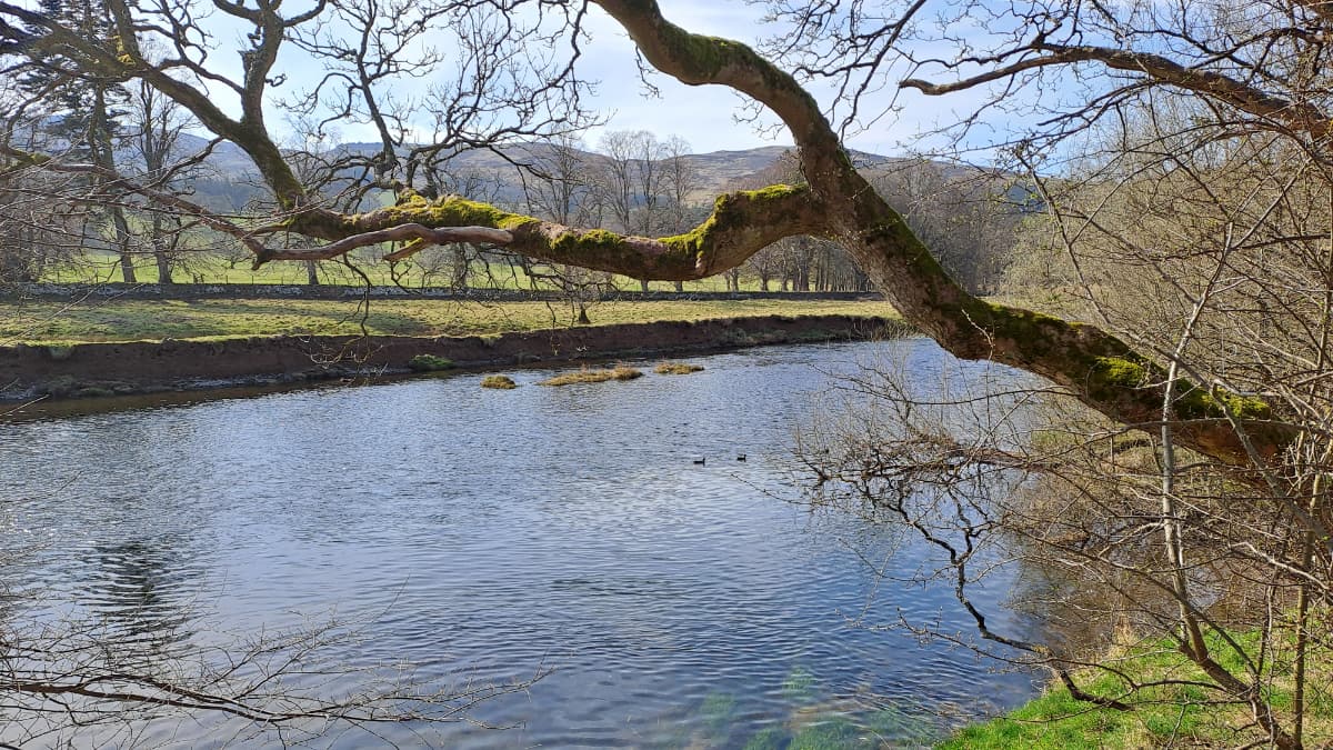 Peebles Cardrona Circular Slide 2 Peebles Cardrona Circular