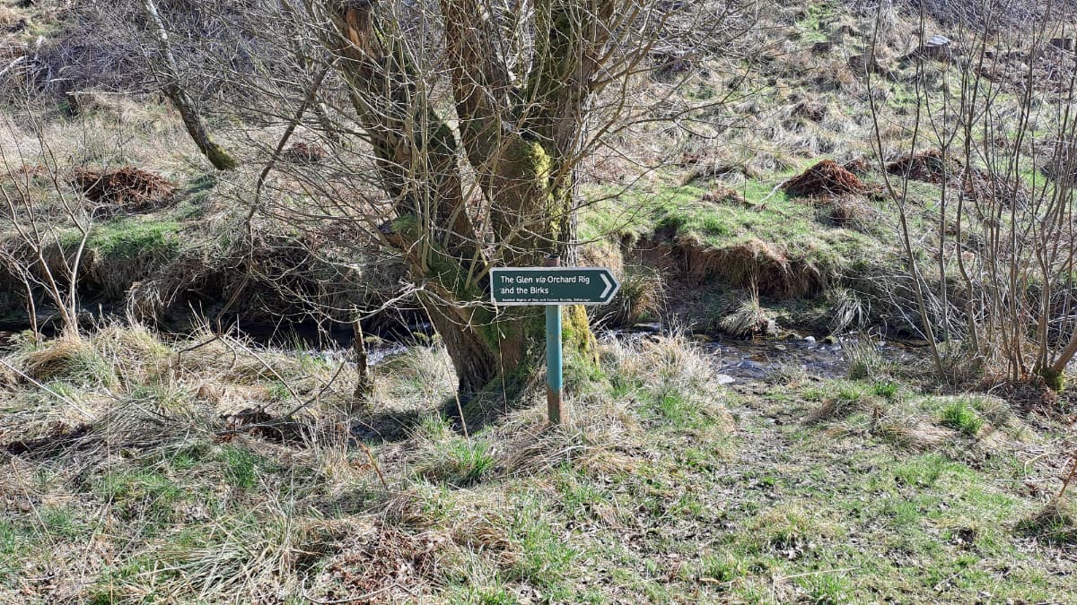 Peebles Cardrona Circular Slide 8 Peebles Cardrona Circular